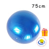 PVC Fitness Balls Yoga Ball Thickened Explosion-Proof Exercise Home Gym Pilates Equipment Balance Ball 45Cm/55Cm/65Cm/75Cm/85Cm ATHLEXES