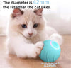 Electric Self-Rolling Cat Ball Toy ATHLEXES