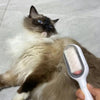 Double Sided Hair Removal Brushes for Cat Dog Pet Grooming Comb with Wipes Kitten Brush Gato Accesorios Artículos Para Mascotas ATHLEXES