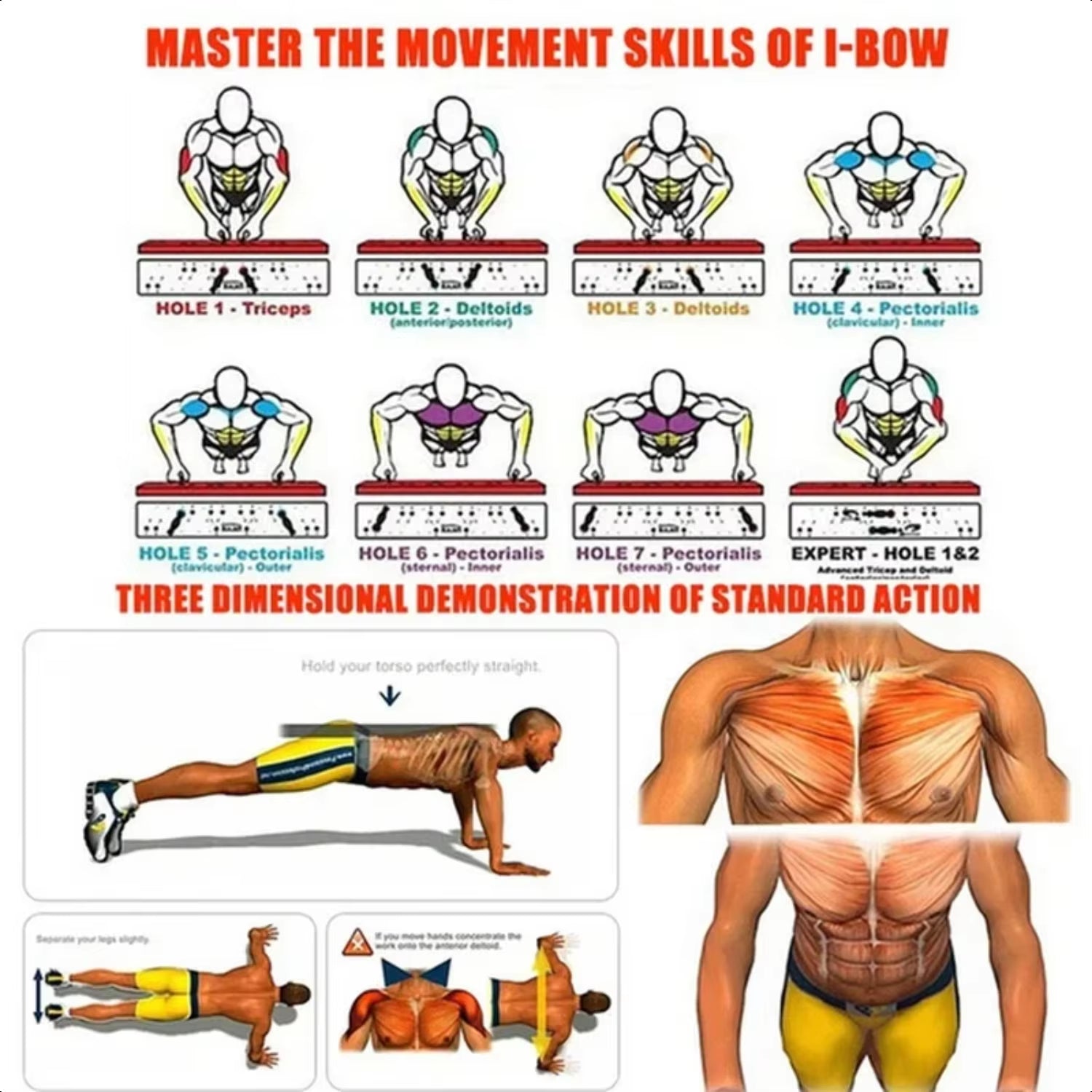Heavy Duty Portable Home Gym Set - Adjustable Dumbbells, Folding Pushup Bar, Exercise Bands, Workout Mat - Ideal for Intense Ful ATHLEXES