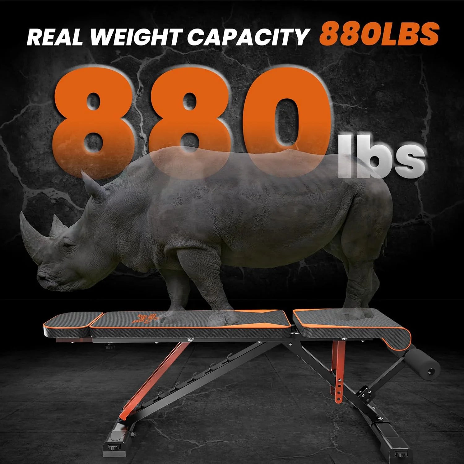 Bigzzia Versatile Folding Weight Bench ATHLEXES