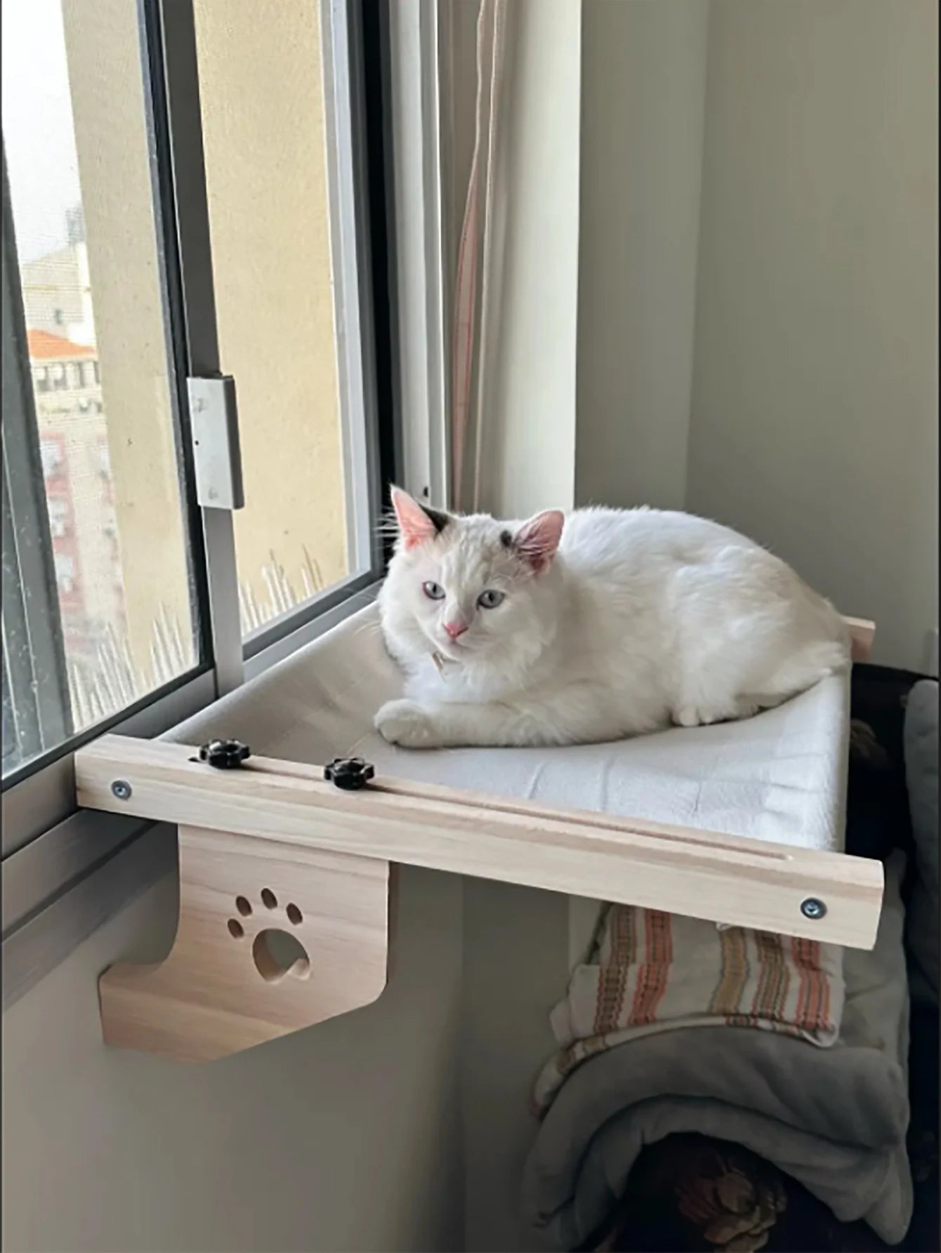 Window Hanging Cat Bed Portable Removable Balcony Cat Hanging Hammock Wooden Assembly Indoor Bedside Bed Pet Nest ATHLEXES