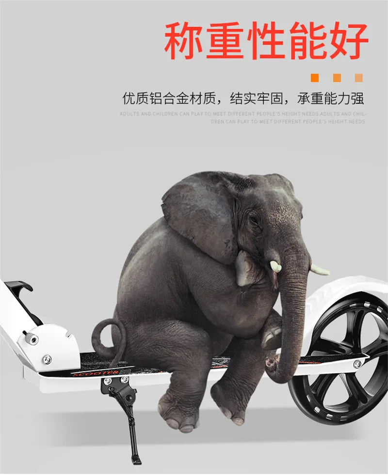 HOOMORE Adjustable Kick Scooter with 200mm Wheels ATHLEXES
