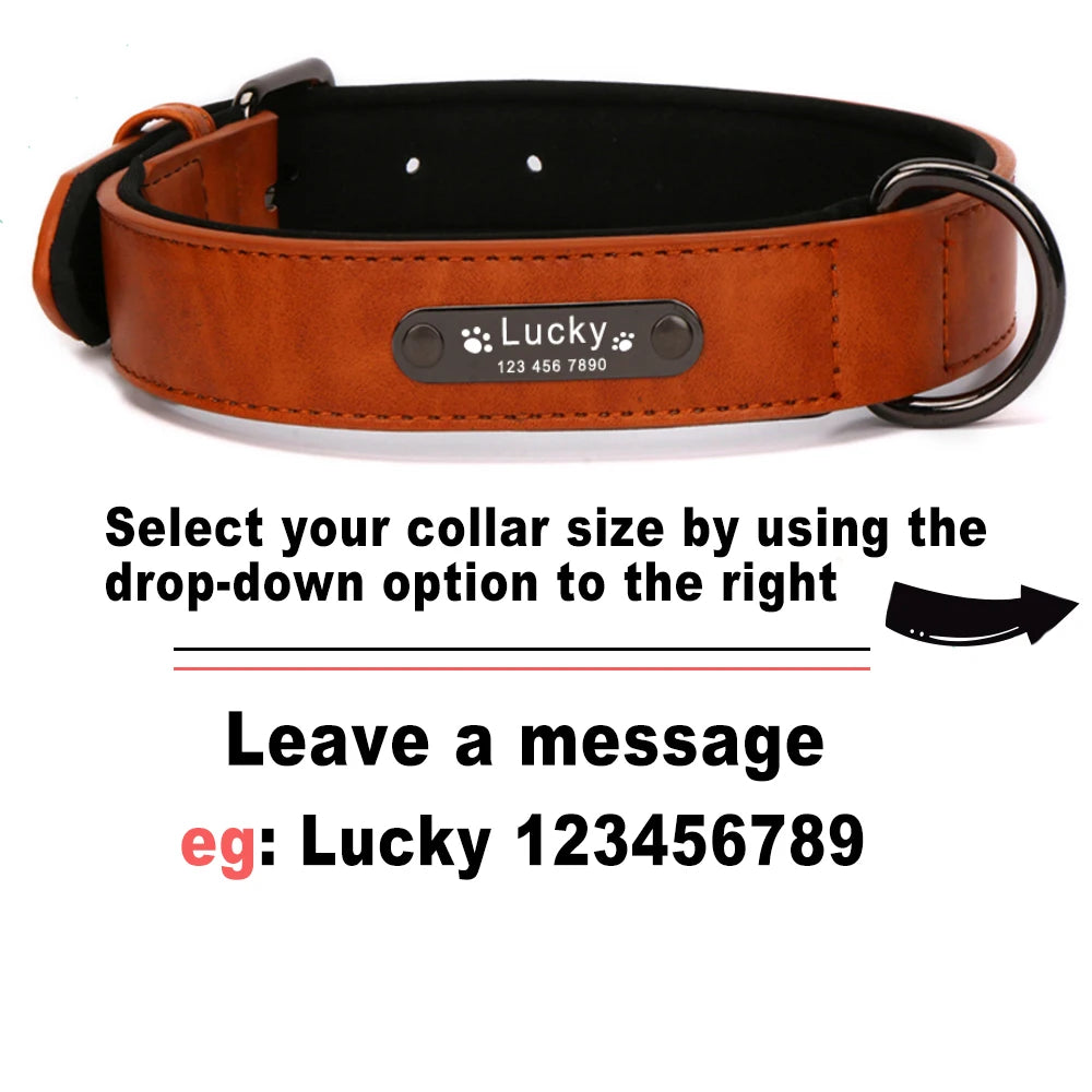 Custom Luxury Personalized Leather Dog Collar ATHLEXES