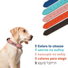 Custom Luxury Personalized Leather Dog Collar ATHLEXES