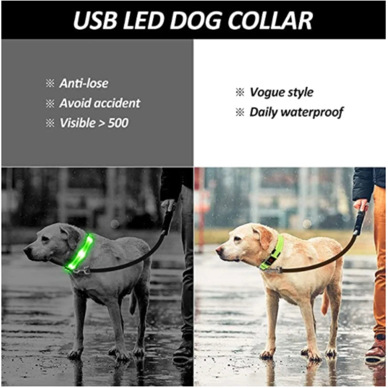 USB Charging LED Dog Collar ATHLEXES