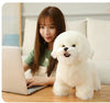 files/H172035bc7f6040c5b1fc1e090b6a0c19S.webp