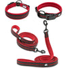 Truelove Mesh Nylon Dog Collar And Leash Set ATHLEXES