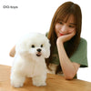 files/H2910b81579574367be818a74e4d3c152x.webp