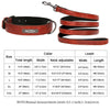Custom Luxury Personalized Leather Dog Collar ATHLEXES