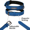 Custom Luxury Personalized Leather Dog Collar ATHLEXES