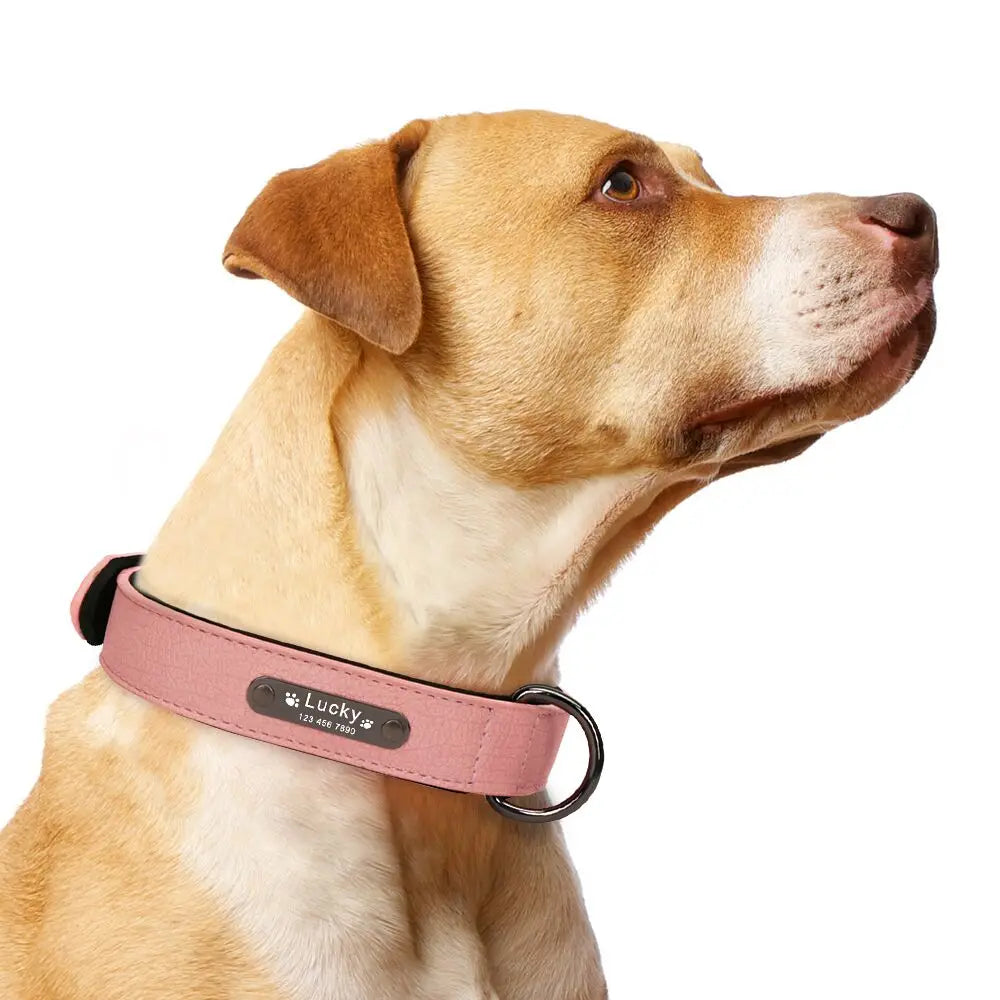 Custom Luxury Personalized Leather Dog Collar ATHLEXES