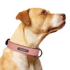 Custom Luxury Personalized Leather Dog Collar ATHLEXES