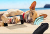 Shinecon 3D VR Glasses for iPhone & Android ATHLEXES