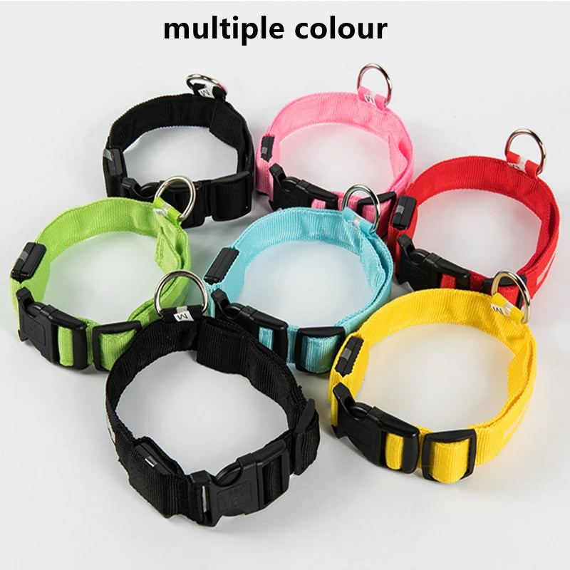 USB Charging LED Dog Collar ATHLEXES