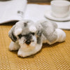 Bichon Frise Plush Toy for Dog Lovers ATHLEXES