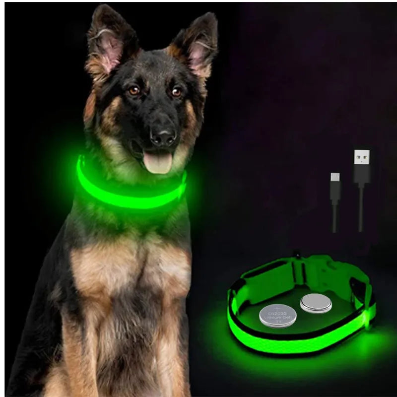 USB Charging LED Dog Collar ATHLEXES