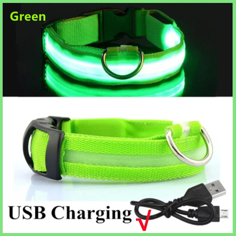 USB Charging LED Dog Collar ATHLEXES