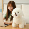 Bichon Frise Plush Toy for Dog Lovers ATHLEXES