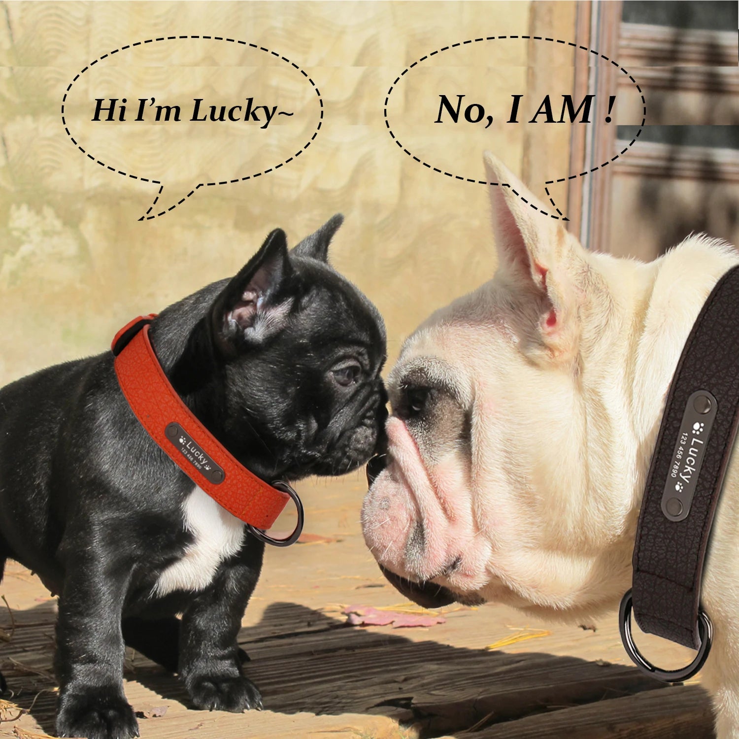 Custom Luxury Personalized Leather Dog Collar ATHLEXES