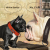 Custom Luxury Personalized Leather Dog Collar ATHLEXES