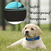 Custom Luxury Personalized Leather Dog Collar ATHLEXES