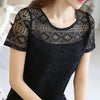 Elegant Lace Chiffon Blouse for Women ATHLEXES
