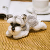 Bichon Frise Plush Toy for Dog Lovers ATHLEXES