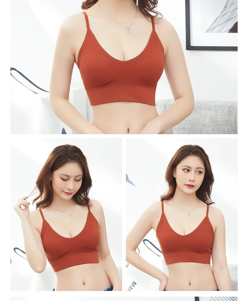 Seamless Comfort Wireless Sports Bra for Women ATHLEXES
