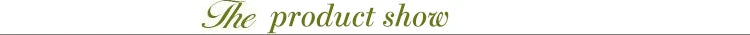 Embroidered Cotton Eyelet Fabric for Apparel ATHLEXES