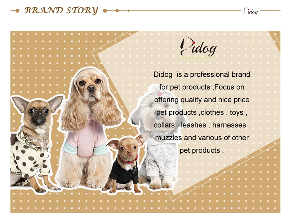 Engraved Luxury PU Leather Cat Collar ATHLEXES