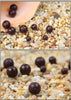 FISH KING Premium Fishing Beads Set 100pcs ATHLEXES