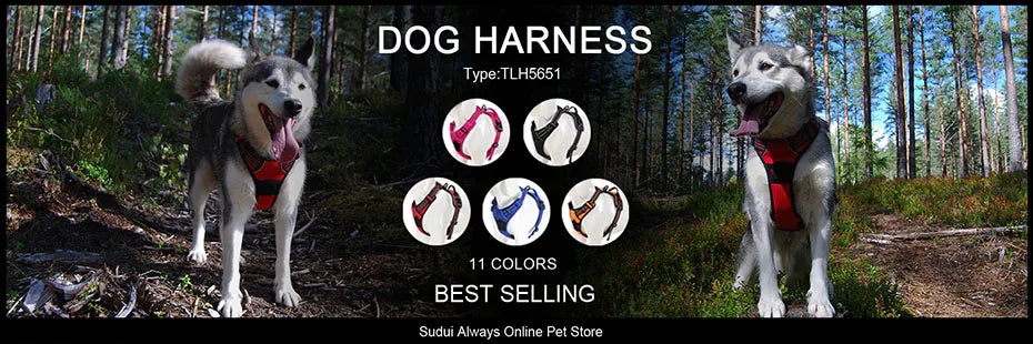 Truelove Mesh Nylon Dog Collar And Leash Set ATHLEXES