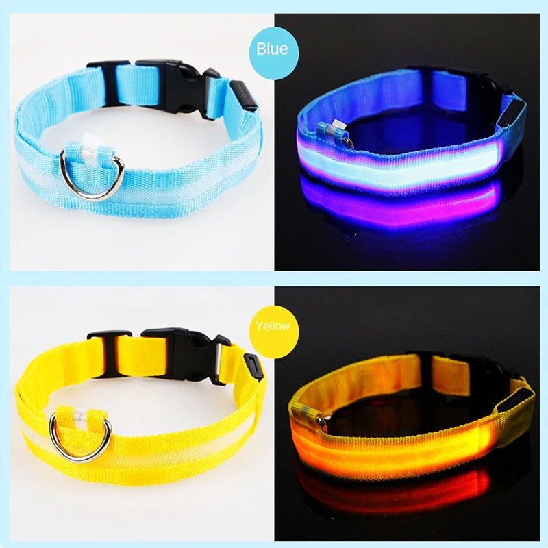 USB Charging LED Dog Collar ATHLEXES