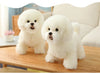 Plush Bichon Frise Dog Doll for Kids ATHLEXES