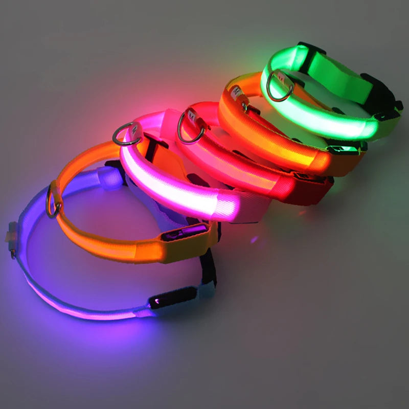 USB Charging LED Dog Collar ATHLEXES