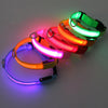 USB Charging LED Dog Collar ATHLEXES