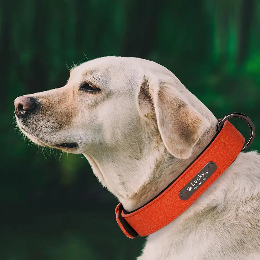 Custom Luxury Personalized Leather Dog Collar ATHLEXES
