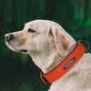 Custom Luxury Personalized Leather Dog Collar ATHLEXES