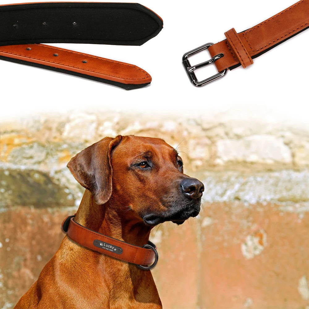 Custom Luxury Personalized Leather Dog Collar ATHLEXES