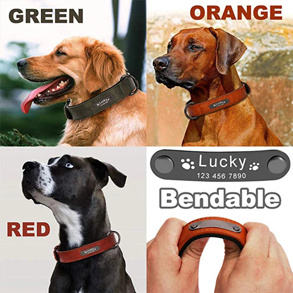 Custom Luxury Personalized Leather Dog Collar ATHLEXES