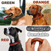 Custom Luxury Personalized Leather Dog Collar ATHLEXES
