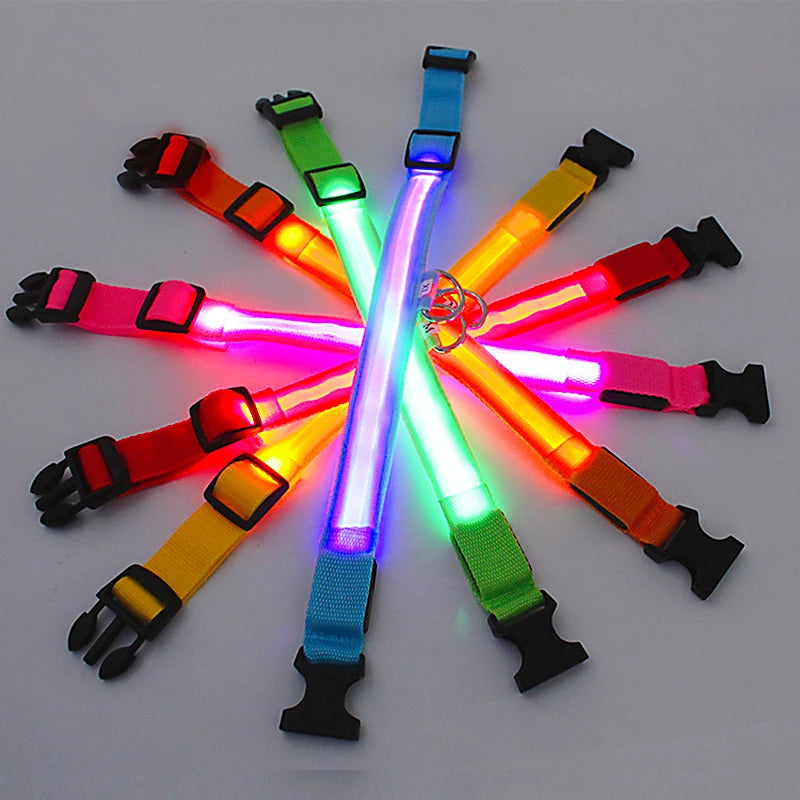 USB Charging LED Dog Collar ATHLEXES