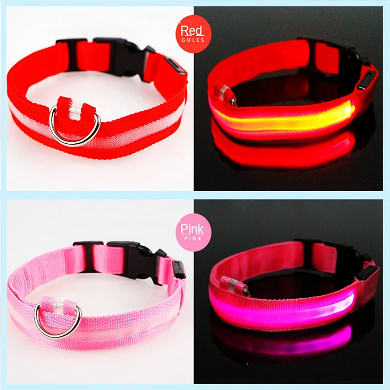 USB Charging LED Dog Collar ATHLEXES