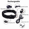 USB Charging LED Dog Collar ATHLEXES