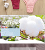 5PCS/Set Cotton Lingerie Panties Sexy Underwear Women Briefs ATHLEXES