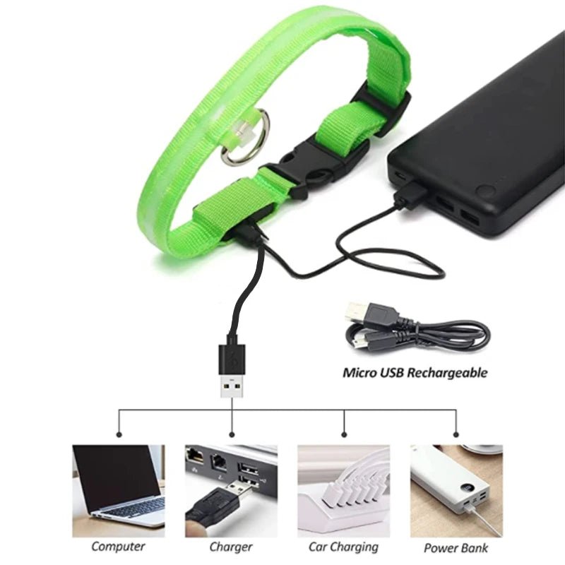 USB Charging LED Dog Collar ATHLEXES