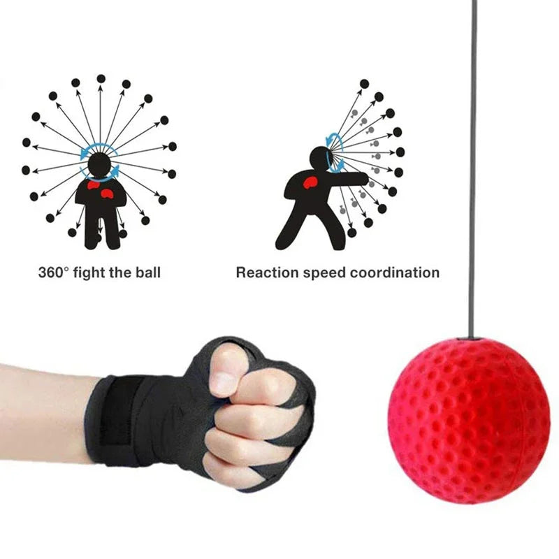 FocusFit Head-Mounted Reflex Training Ball ATHLEXES
