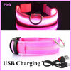 USB Charging LED Dog Collar ATHLEXES