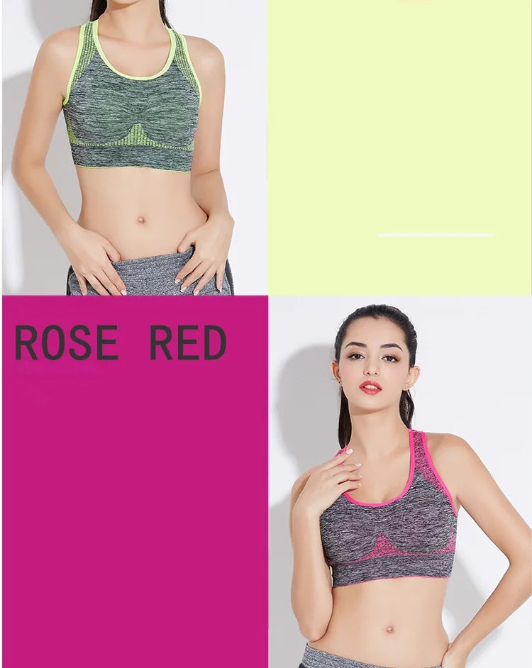Seamless Support Sports Bra for Active Women ATHLEXES